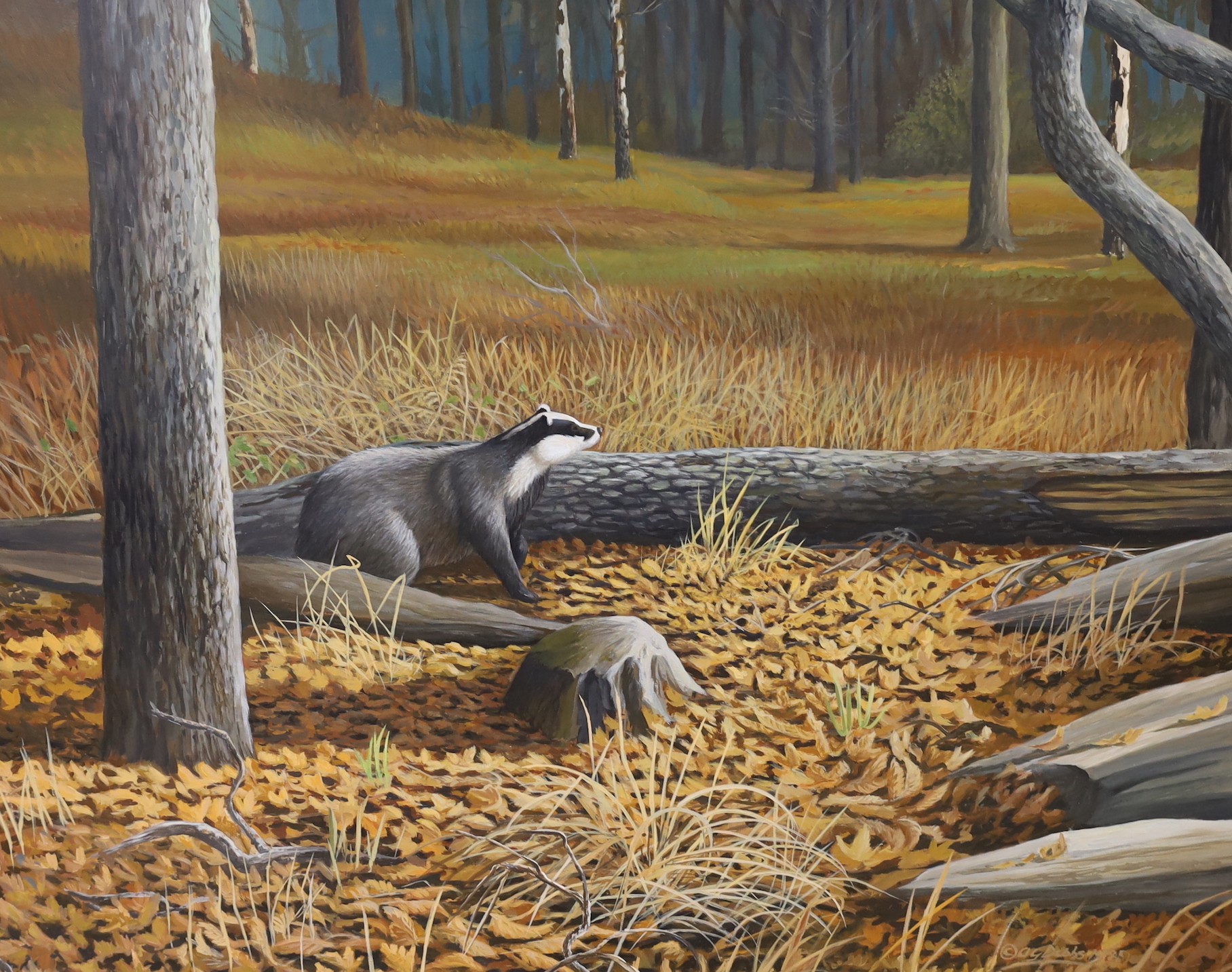 Alan G. Dobbs, oil on board, Badger in woodland, signed and dated 1989, 60 x 75cm and another similar oil of a robin on its nest, signed and dated 1989, 36 x 40cm
